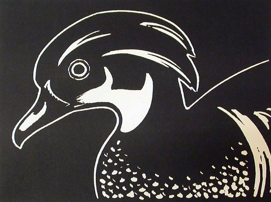 Wood Duck, n.d., woodcut