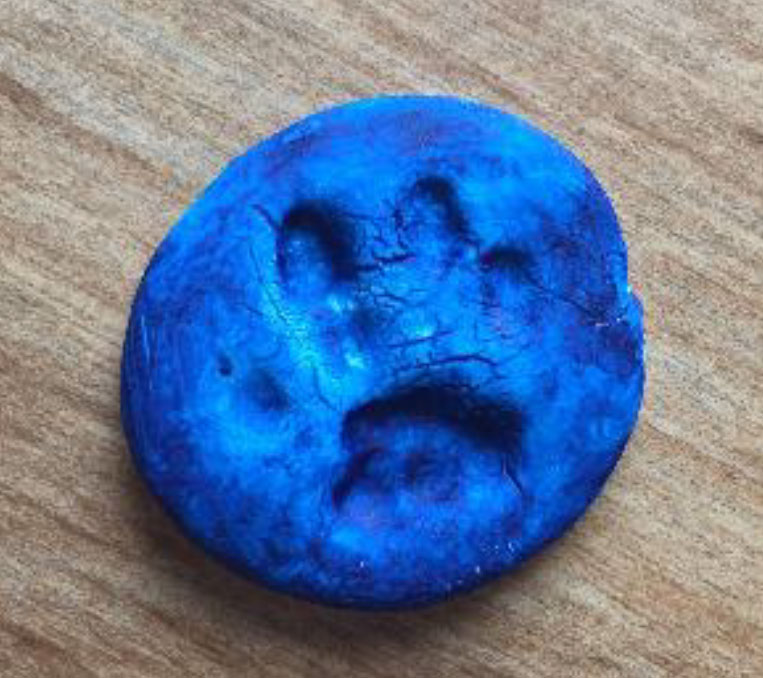 paw print in clay