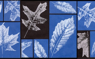 Leaf Texture Collage