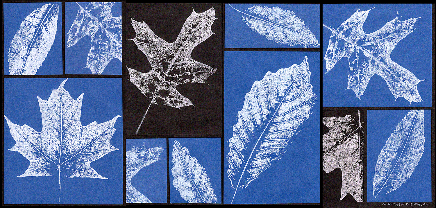 Leaf Texture Collage