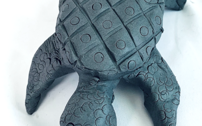Clay Turtle Play
