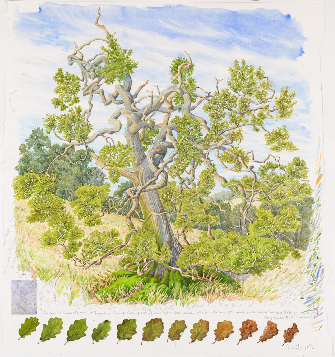 Tony Foster, Exploring Time: A Painter’s Perspective