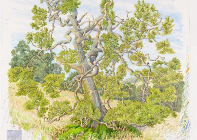 Tony Foster: Exploring Time, A Painter’s Perspective